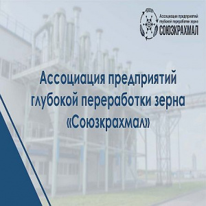 Российский рынок глубокой переработки зерна в первом полугодии 2026: кукурузный крахмал растет, модификации и лизин – в минусе