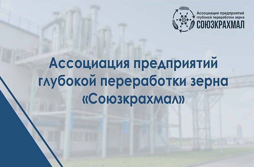 Российский рынок глубокой переработки зерна в первом полугодии 2026: кукурузный крахмал растет, модификации и лизин – в минусе