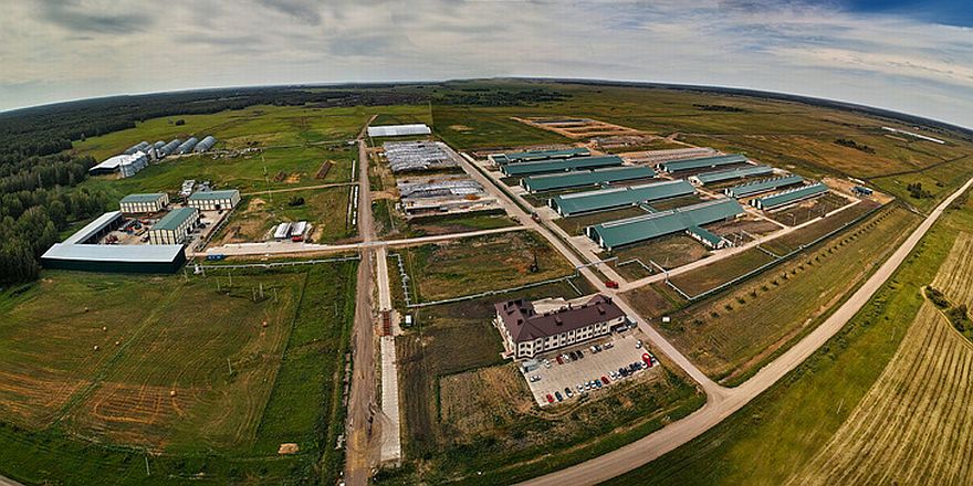 В Новосибирской области запустили крупнейший за Уралом животноводческий комплекс